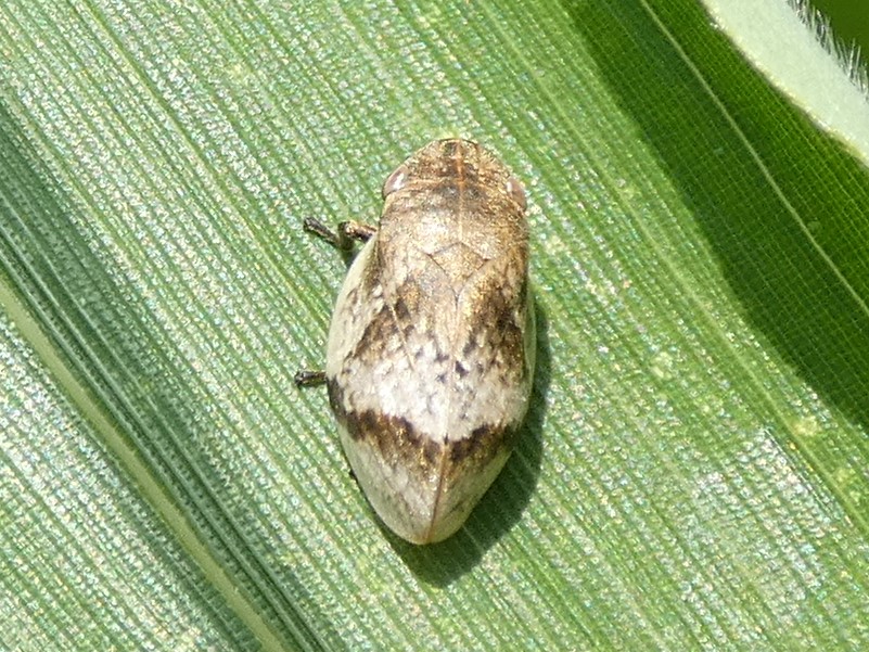 photo_1